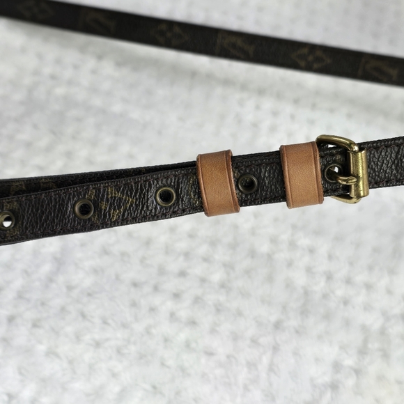 C3 LOUIS VUITTON AMAZON - Picture 12 of 13